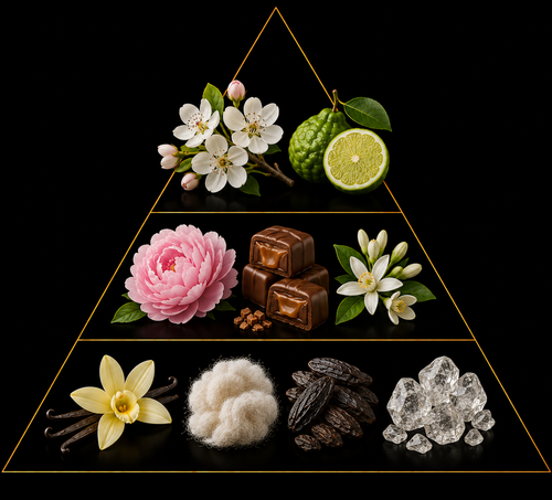 Fragrance pyramid