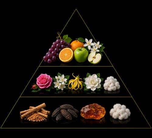 Fragrance pyramid