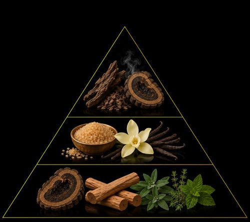 Fragrance pyramid