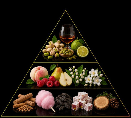 Fragrance pyramid