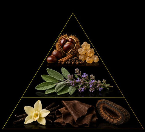 Fragrance pyramid
