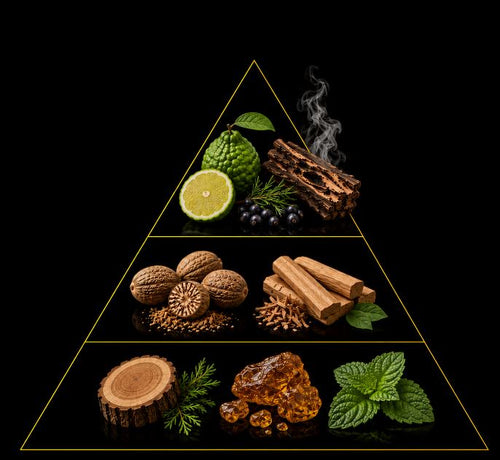 Fragrance pyramid