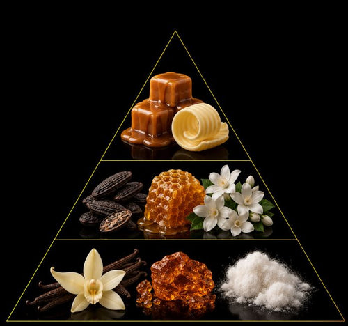Fragrance pyramid