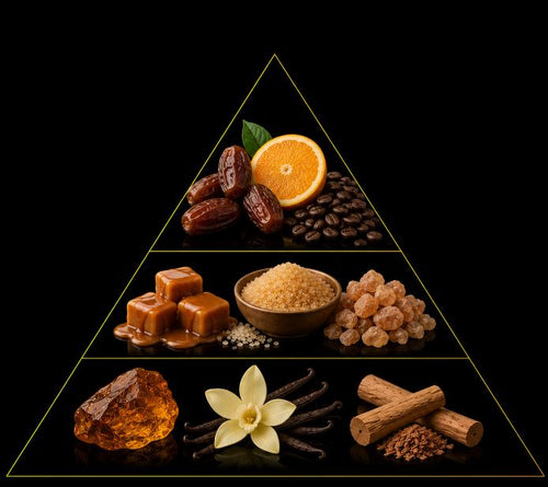 Fragrance pyramid