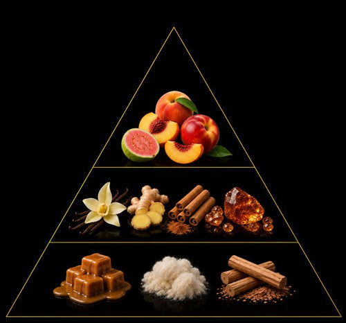 Fragrance pyramid