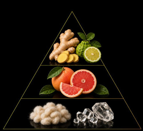 Fragrance pyramid