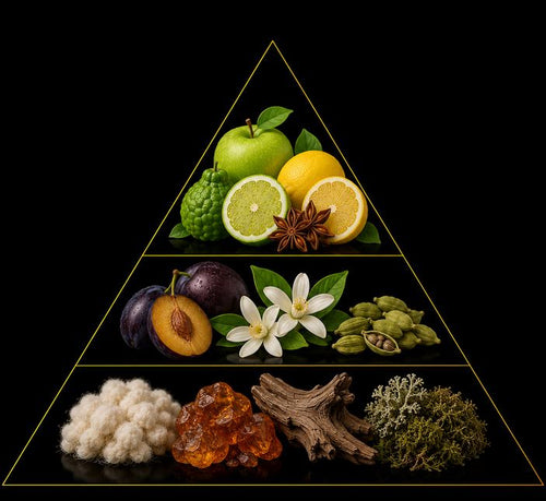 Fragrance pyramid