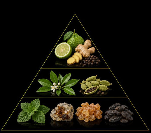 Fragrance pyramid