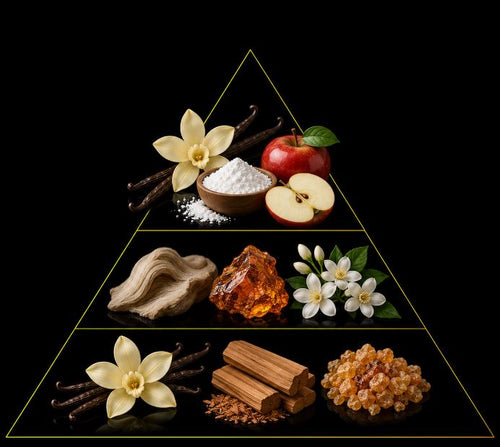Fragrance pyramid
