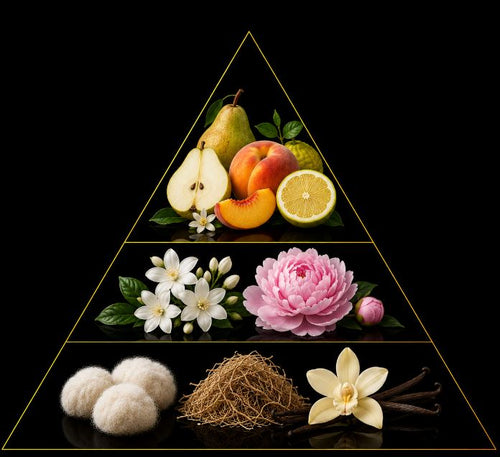 Fragrance pyramid