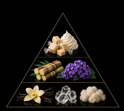 Fragrance pyramid