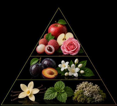 Fragrance pyramid
