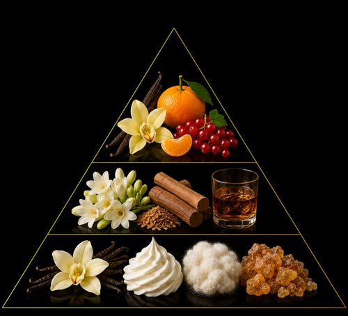 Fragrance pyramid