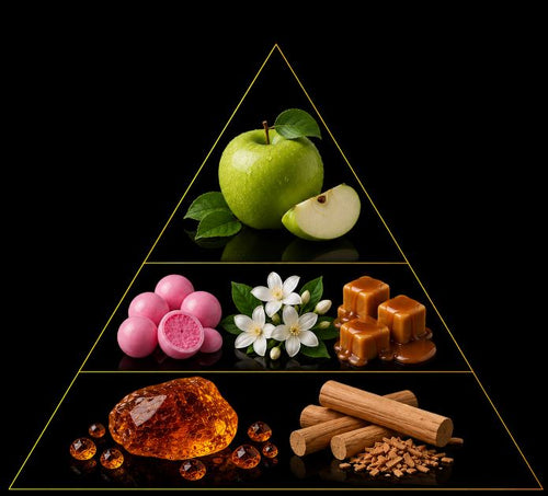 Fragrance pyramid
