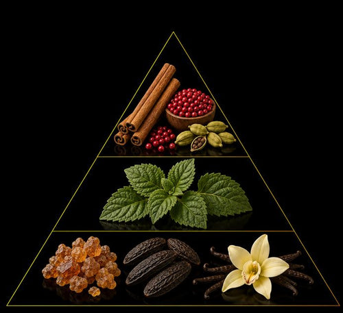 Fragrance pyramid