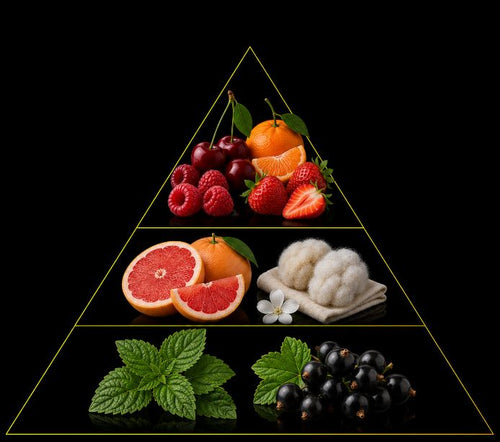 Fragrance pyramid