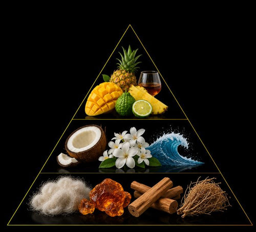 Fragrance pyramid