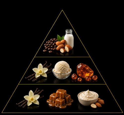 Fragrance pyramid