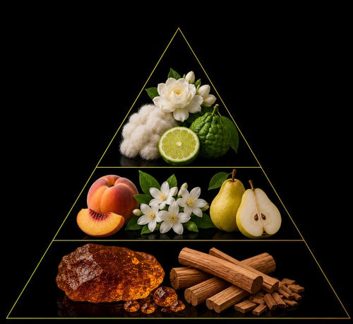 Fragrance pyramid
