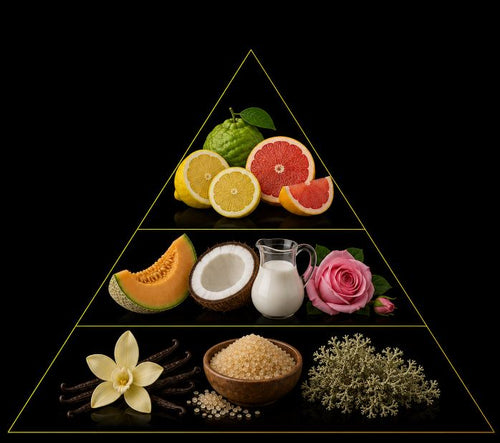 Fragrance pyramid
