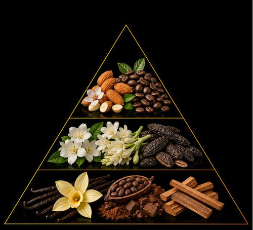 Fragrance pyramid