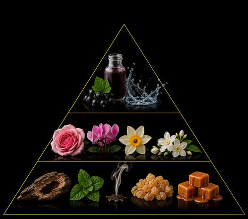 Fragrance pyramid
