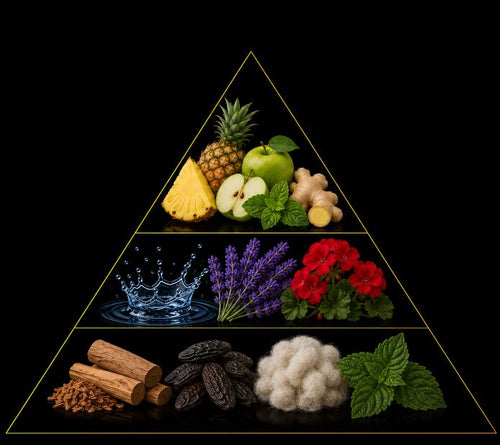 Fragrance pyramid