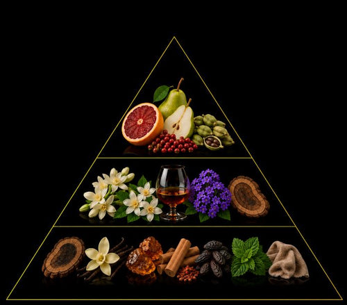 Fragrance pyramid