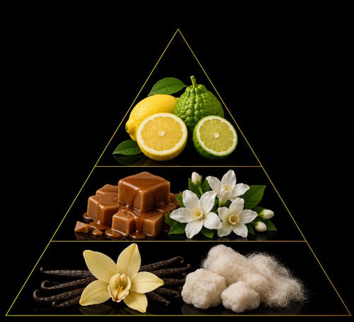 Fragrance pyramid