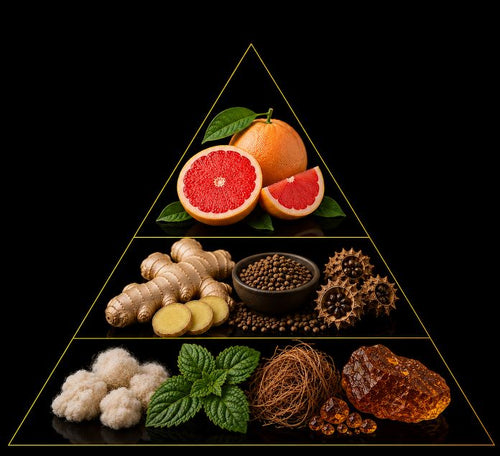 Fragrance pyramid