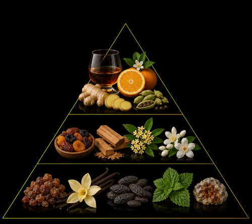 Fragrance pyramid