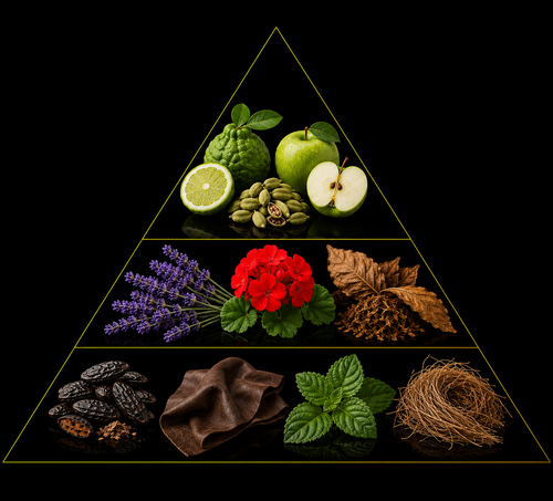Fragrance pyramid
