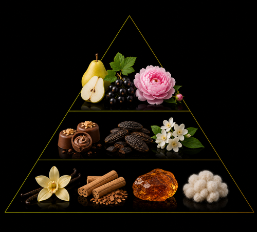 Fragrance pyramid