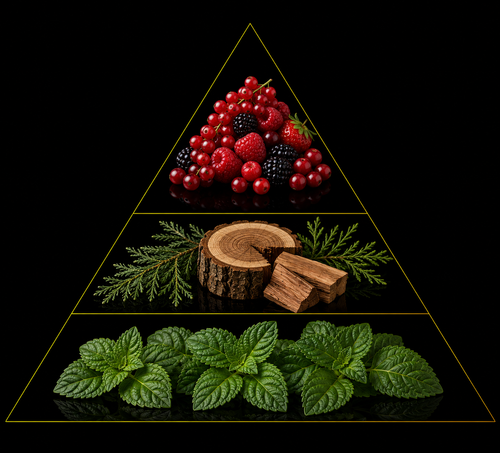 Fragrance pyramid