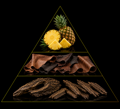 Fragrance pyramid