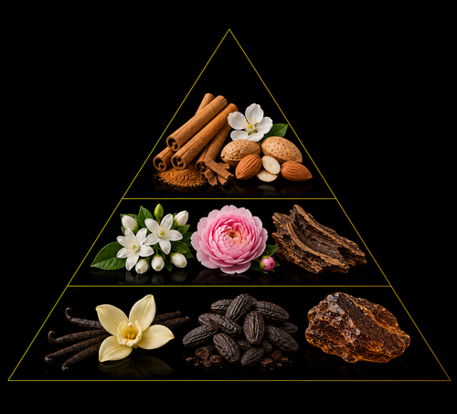 Fragrance pyramid