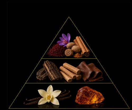 Fragrance pyramid