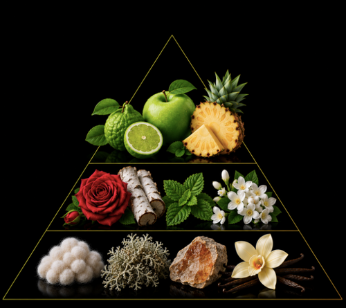 Fragrance pyramid