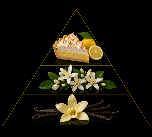 Fragrance pyramid