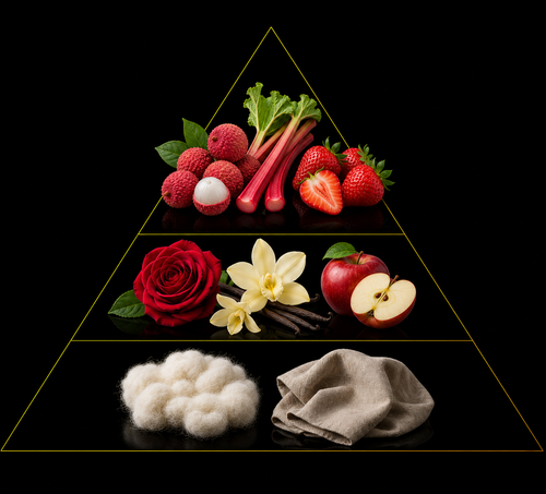 Fragrance pyramid