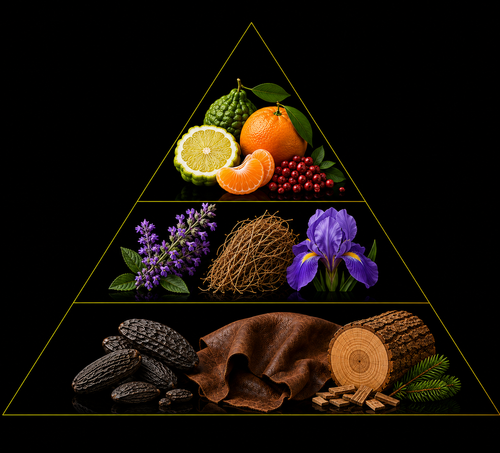 Fragrance pyramid