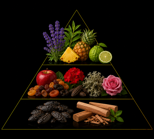 Fragrance pyramid