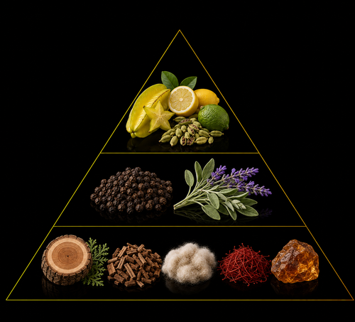 Fragrance pyramid