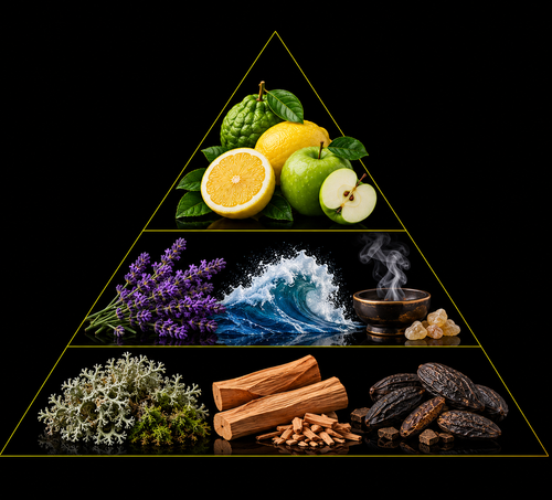 Fragrance pyramid