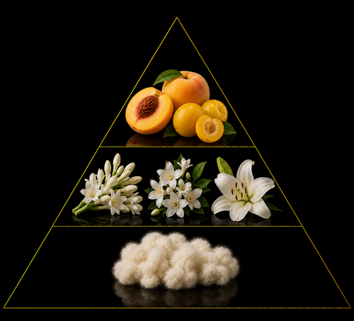 Fragrance pyramid
