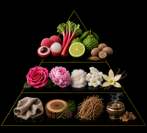 Fragrance pyramid