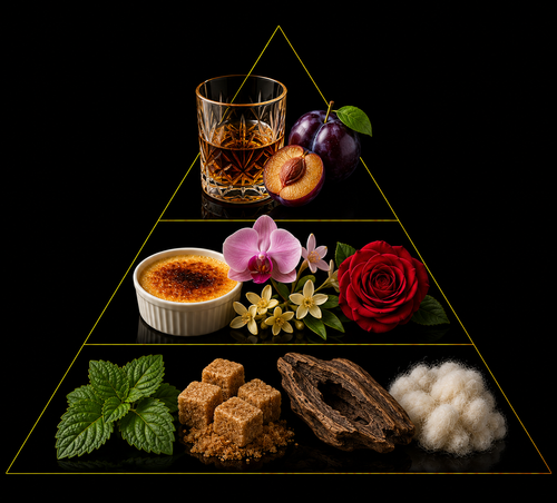 Fragrance pyramid