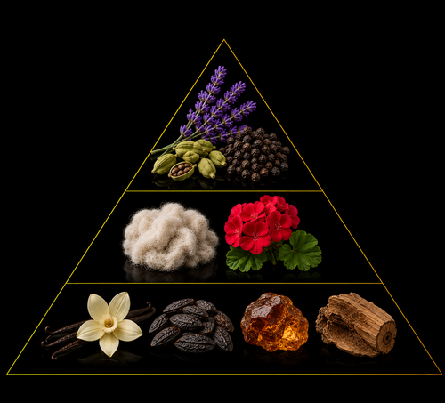 Fragrance pyramid