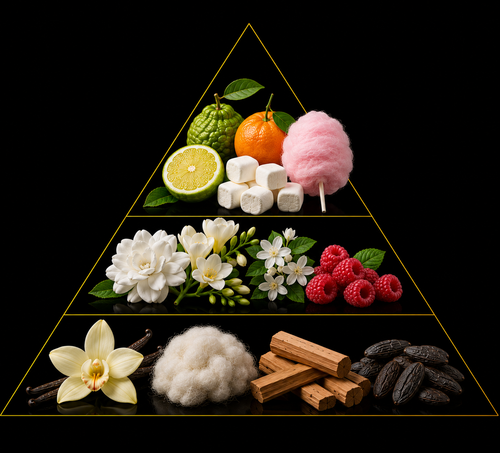 Fragrance pyramid
