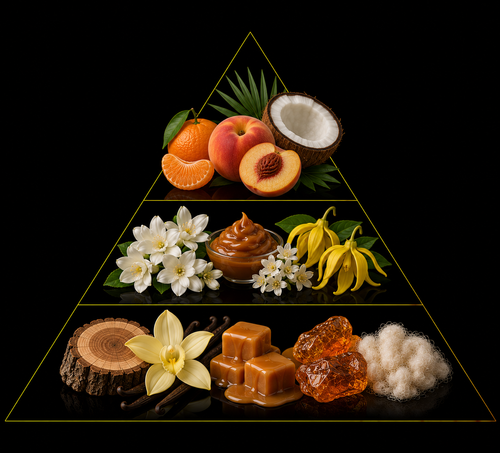 Fragrance pyramid